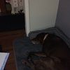tychostup05
